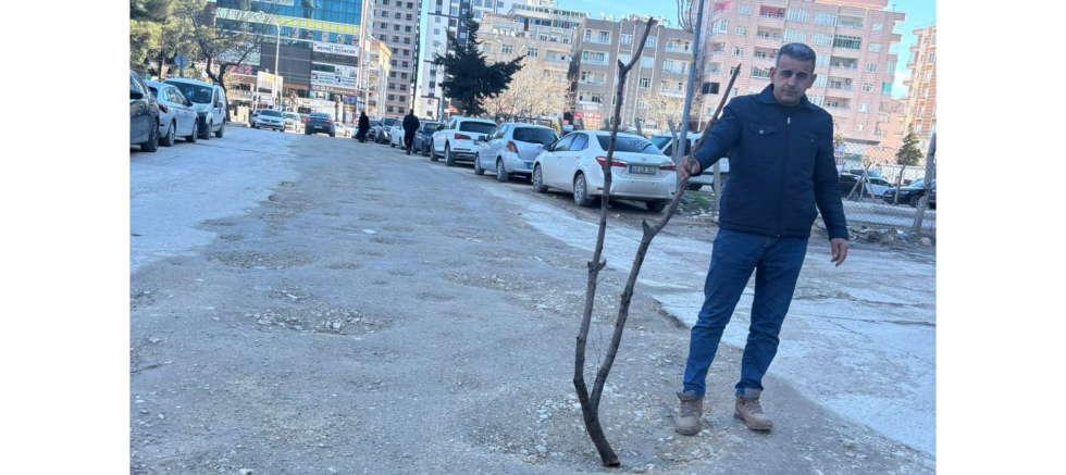 Mehmet Dicle: Mardin Çamura Teslim Edildi Bu Rezaletin Sorumlusu Kim - GÜNDEM - İnternetin Ajansı